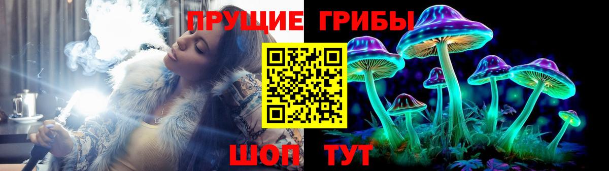 Нурлат  Галлюциногенные грибы мицелий  Вход с VPN  Галлюциногенные грибы GOLDEN TEACHER 